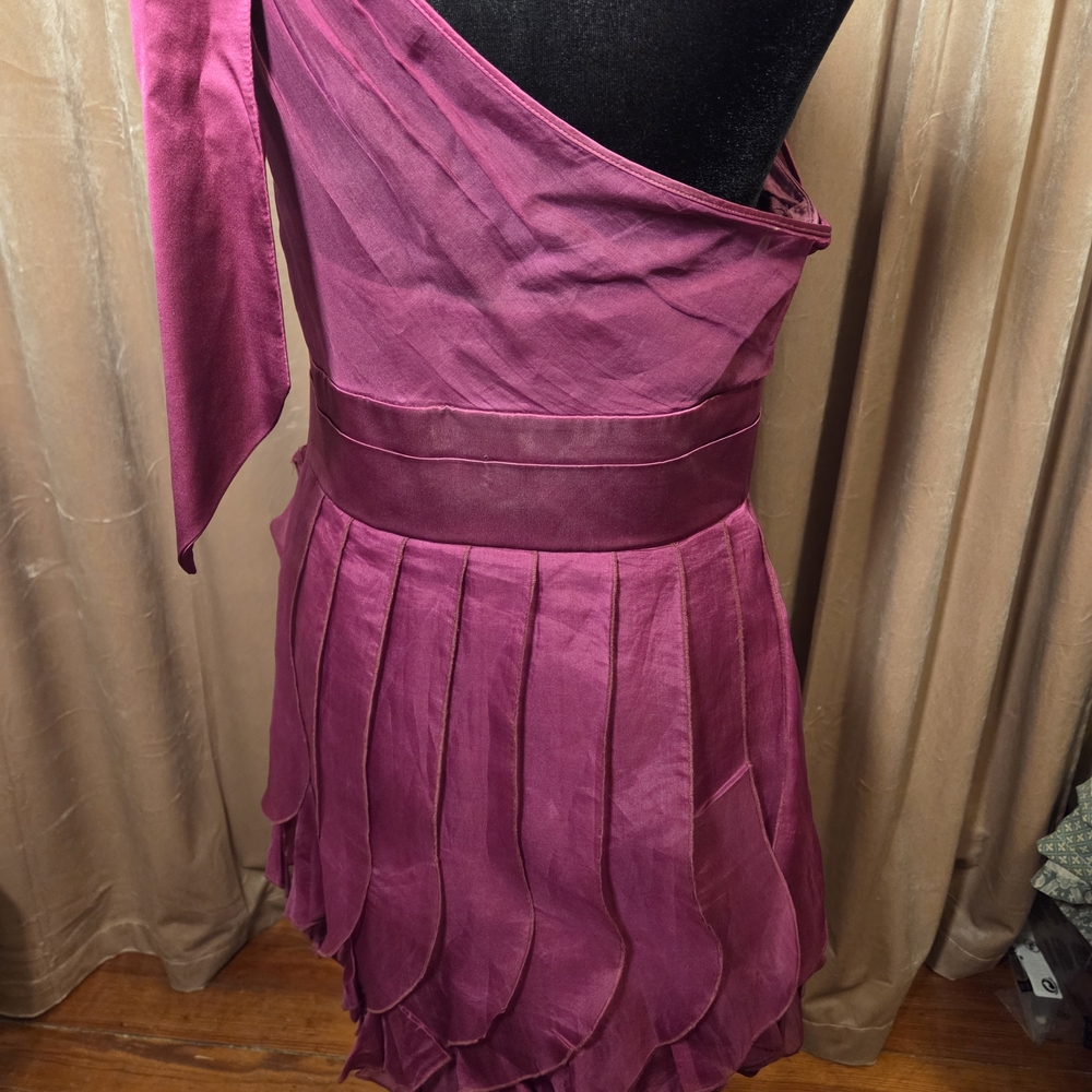 Phoebe Couture One-Shoulder Fuchsia Dress - Picture 5 of 6